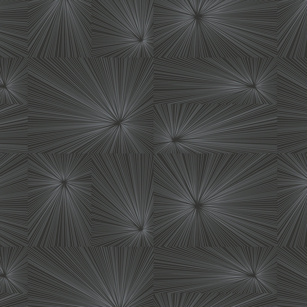 Burst Charcoal Gray | Maharam