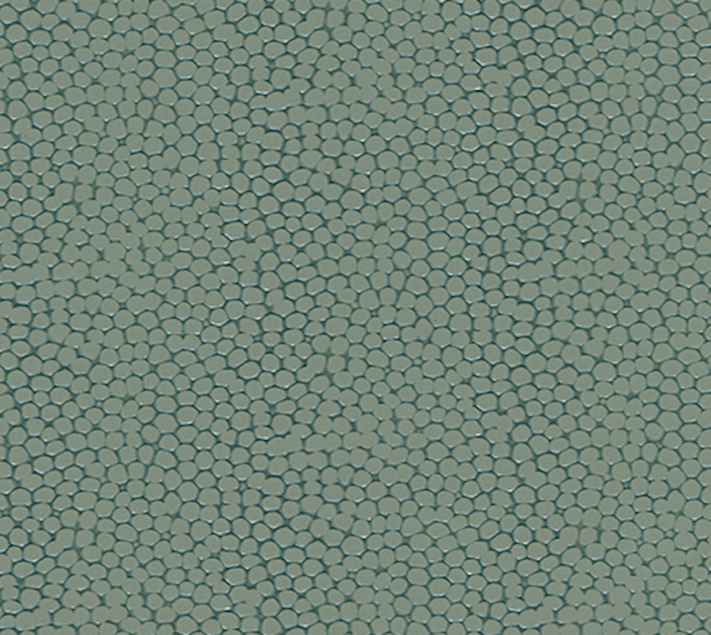 Surfrider Wallcovering | Phillipe Romano