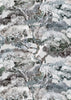 Matzu Tree Linen Blue Tint Drizzles