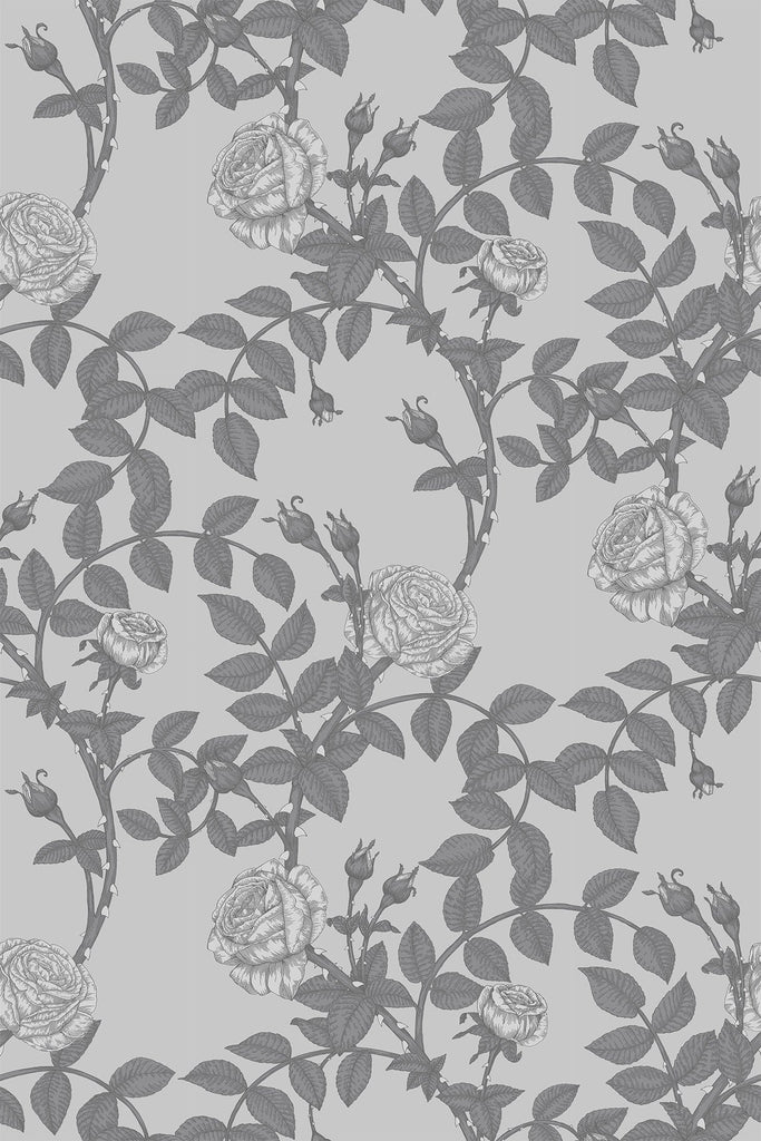 McGegan Rose Greys