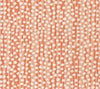 Coral on White