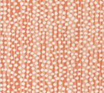 Coral on White