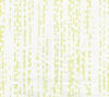 Pale Fern on White