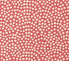 Coral on White