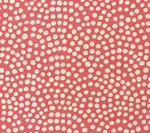 Coral on White