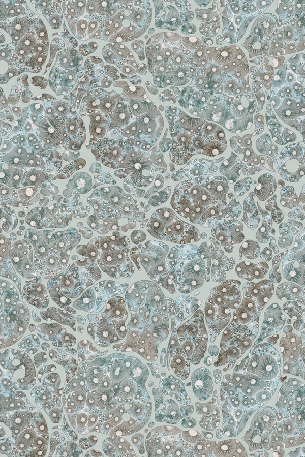 Moonrock Cork Lunar Dust | Timorous Beasties Wallcovering