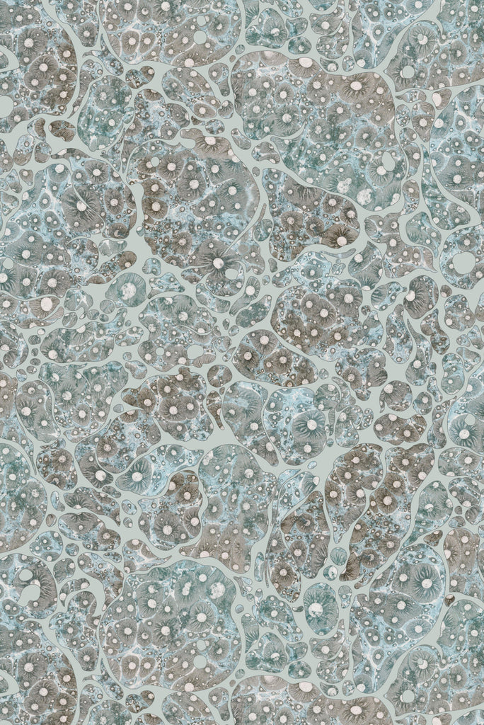 Moonrock Cork Lunar Dust