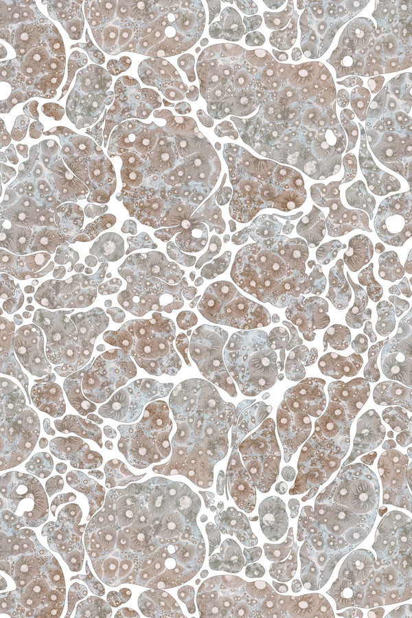 Moonrock Cork Waning Crescent | Timorous Beasties Wallcovering
