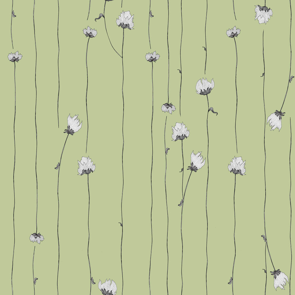 Mountain Rose Mint