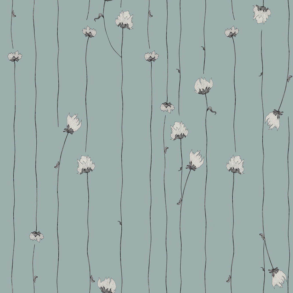 Mountain Rose Peace