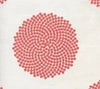 Coral on Ivory