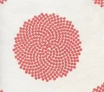 Coral on Ivory