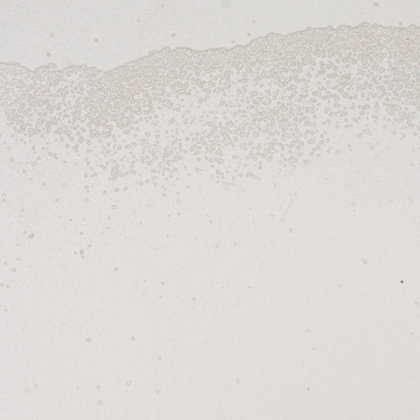 Moffat Myton Wallcovering | Vahallan