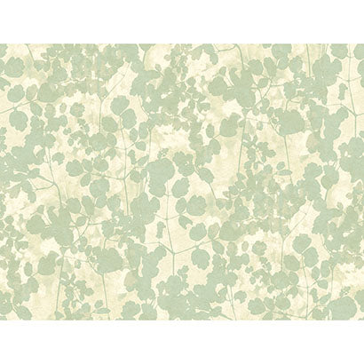 Glengarriff Cream Wallcovering | Jeffrey Stevens