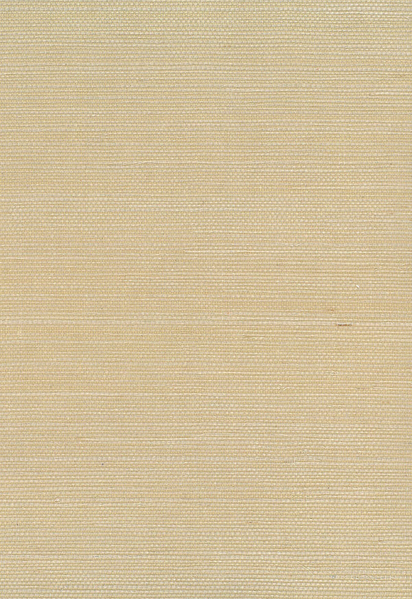 Sisal Contemporary Grasscloth - Neutrals | Architectural Wallcoverings