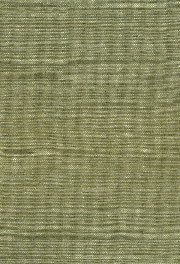 Sisal Contemporary Grasscloth - Green | Architectural Wallcoverings