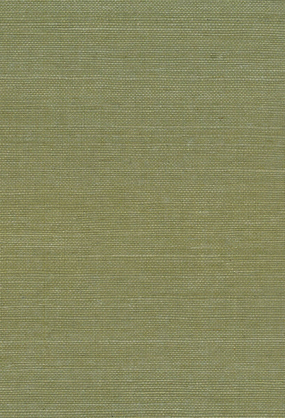 Malibu Sisal Wallpaper - Contemporary Grasscloth - Green | Malibu Wallpaper