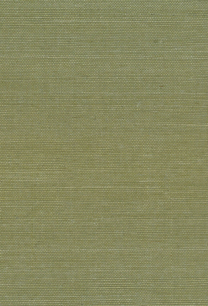 Malibu Sisal Wallpaper - Contemporary Grasscloth - Green | Malibu Wallpaper