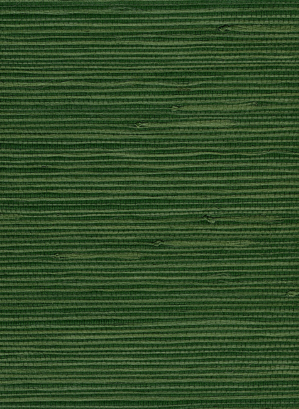 Jute Contemporary Grasscloth - Green | Architectural Wallcoverings