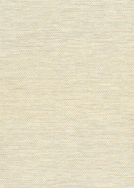 Malibu Paperweave Wallpaper - Contemporary Grasscloth - Metallic Silver, Off White | Malibu Wallpaper