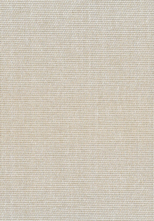 Paperweave Contemporary Grasscloth - Neutrals | Architectural Wallcoverings