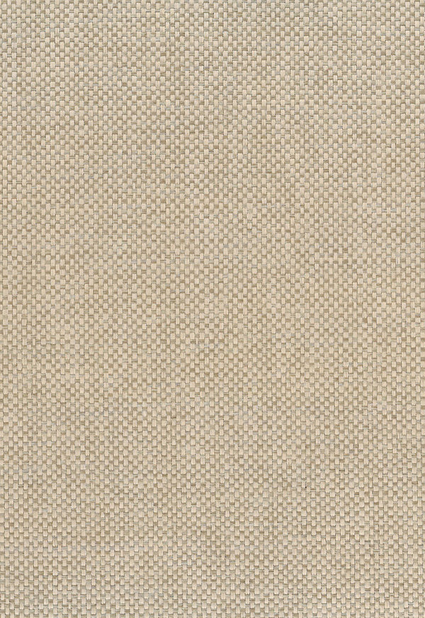 Paperweave Contemporary Grasscloth - Brown | Architectural Wallcoverings