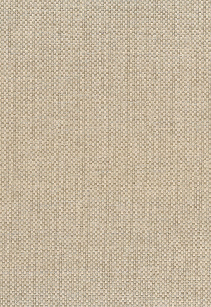 Malibu Paperweave Wallpaper - Contemporary Grasscloth - Brown | Malibu Wallpaper