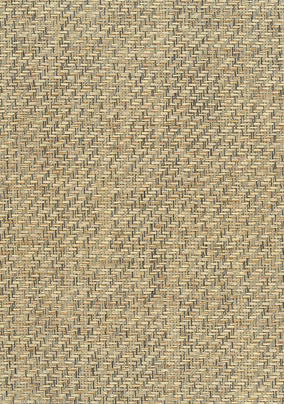 Paperweave Contemporary Grasscloth - Brown | Architectural Wallcoverings