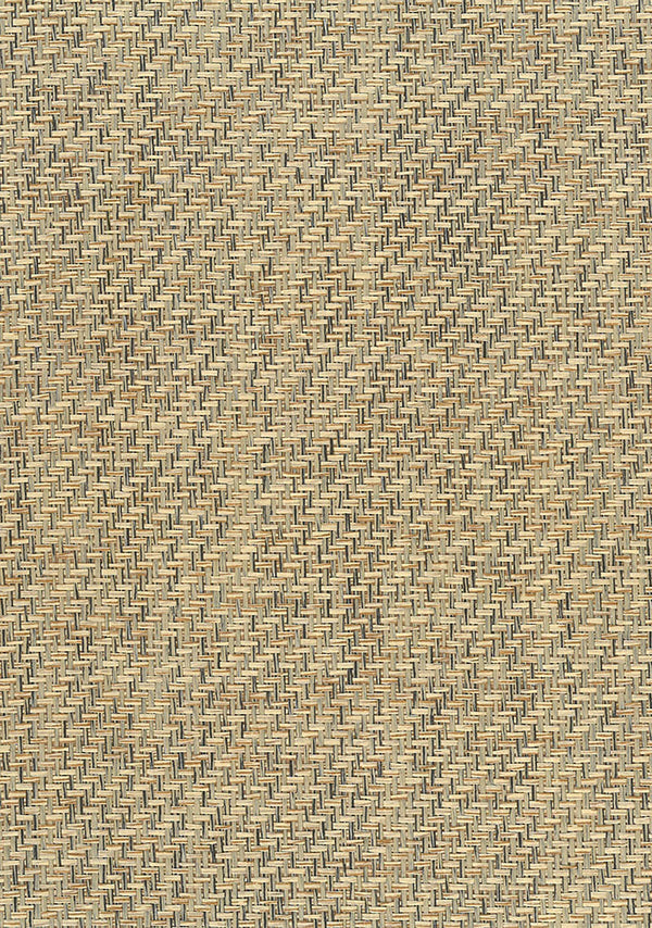 Paperweave Contemporary Grasscloth - Brown | Architectural Wallcoverings