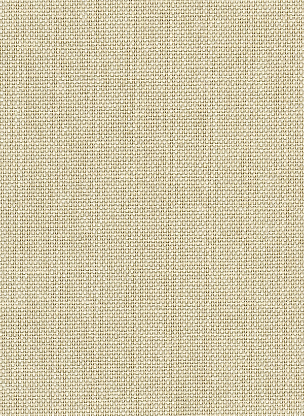 Paperweave Contemporary Grasscloth - Off-White | Architectural Wallcoverings