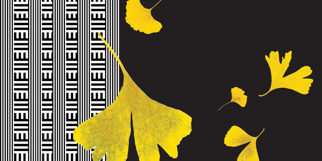 Napoleon-&-Edward-Black   Wallpaper (Srd-Npe-01) | Sarah Rowland | Koroseal