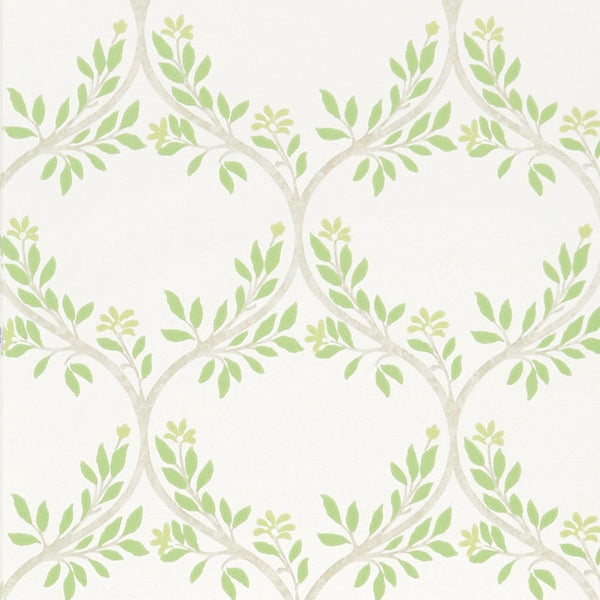 Signature Arber - Green Wallcovering | Nina Campbell