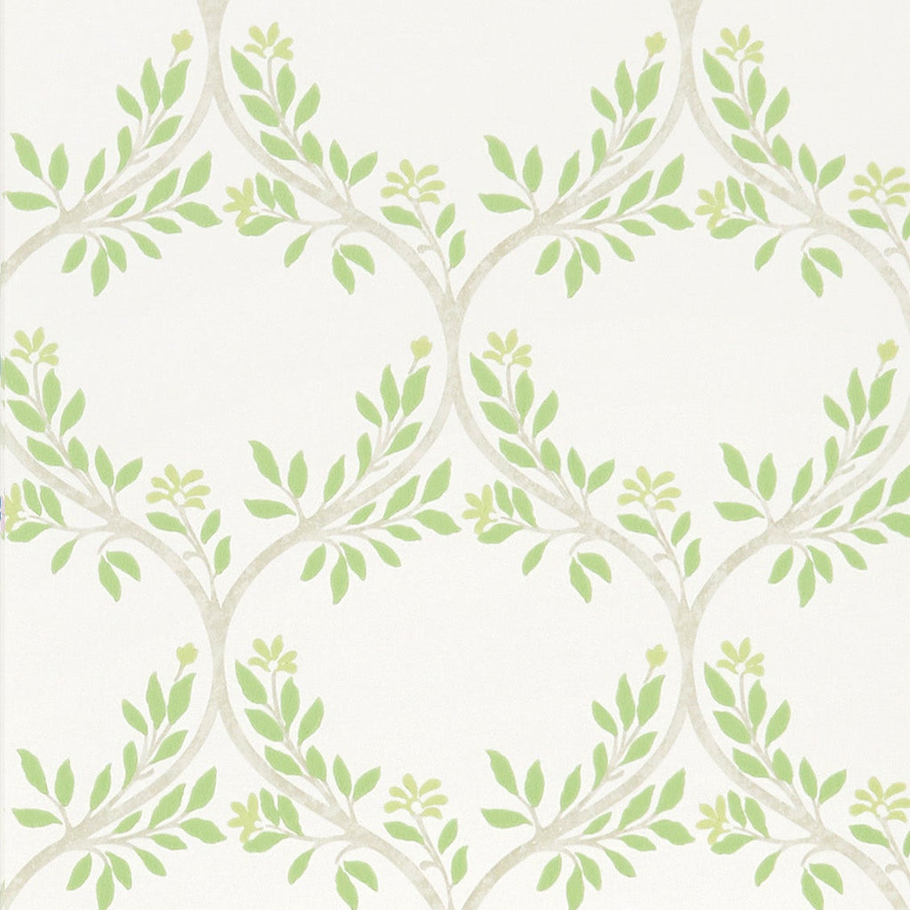 Signature Arber - Green Wallcovering | Nina Campbell