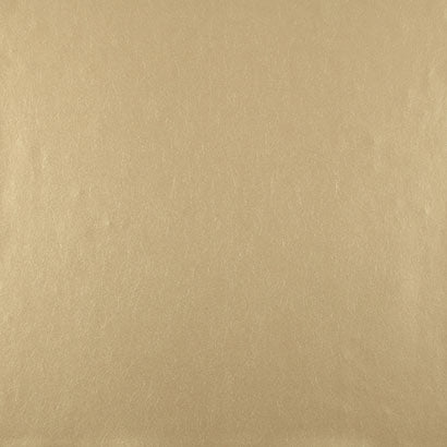 Oasis Wallpaper | Jeffrey Stevens