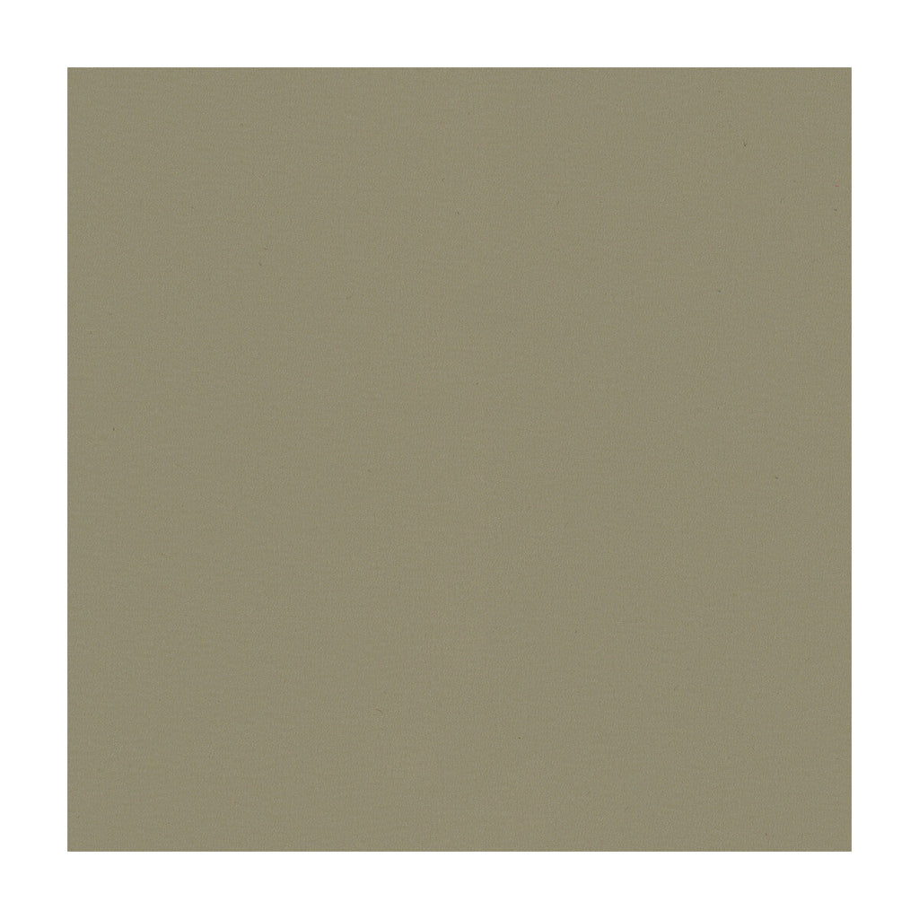Samples and Purchasing available for Kravet Smart - Newt-11 Grey By Kravet Smart |  |Solid Texture Upholstery Vinyl/Faux Leather at Designer Wallcoverings and Fabrics
