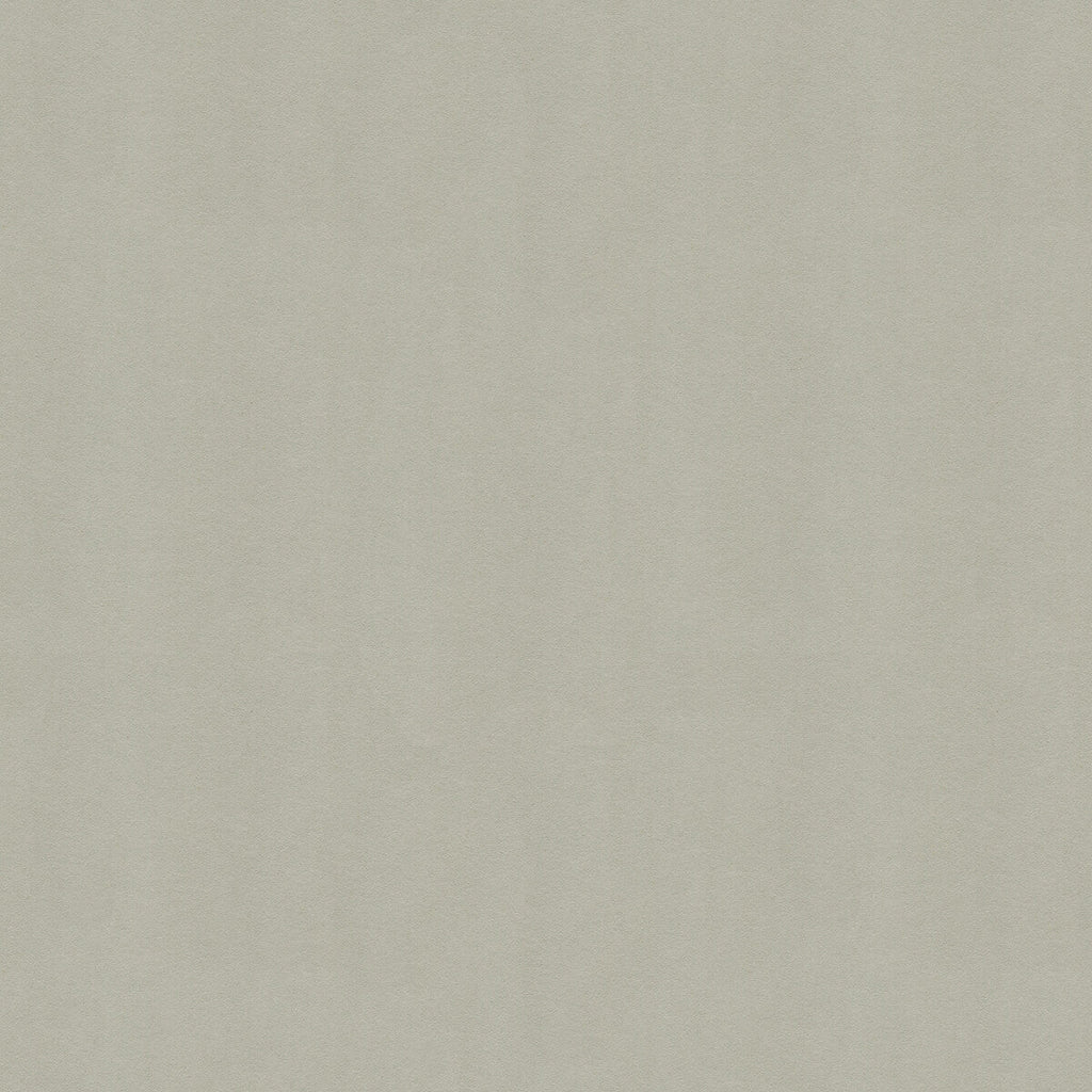 Samples and Purchasing available for Kravet Design - Novasuede-1110 Light Grey By Kravet Design |  |Solid Texture Upholstery Vinyl/Faux Leather at Designer Wallcoverings and Fabrics