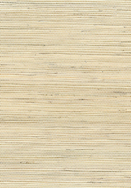 Malibu Jute Wallpaper - Contemporary Grasscloth - Neutrals | Malibu Wallpaper