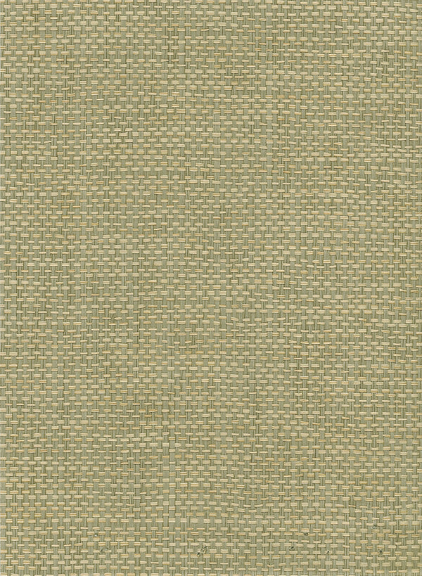 Paperweave Contemporary Grasscloth - Green, Tan | Architectural Wallcoverings