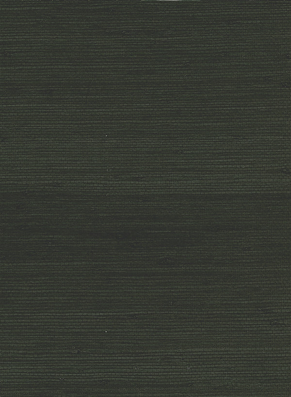 Jute Contemporary Grasscloth - Black | Architectural Wallcoverings