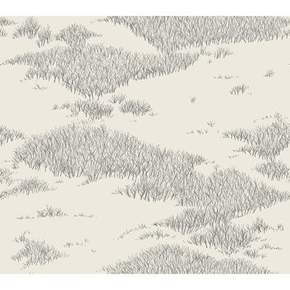 Tundra Scenic Wallpaper | Jeffrey Stevens