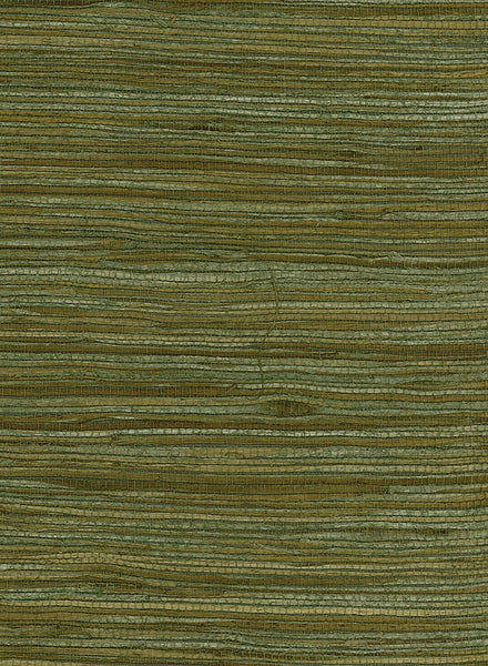 Malibu Water Hyancinth Wallpaper - Contemporary Grasscloth - Green, Tan | Malibu Wallpaper