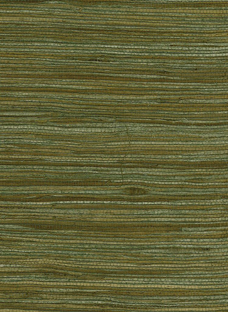 Malibu Water Hyancinth Wallpaper - Contemporary Grasscloth - Green, Tan | Malibu Wallpaper