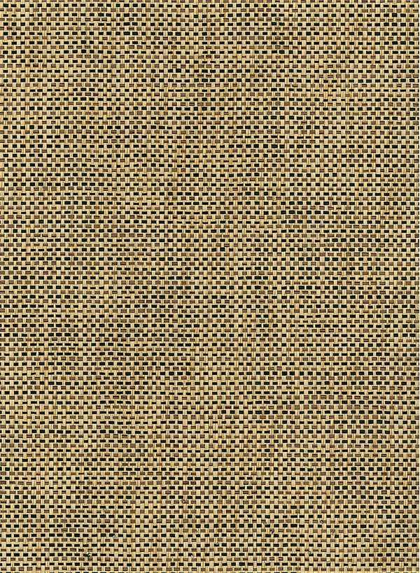 Paperweave Contemporary Grasscloth - Black, Tan | Architectural Wallcoverings
