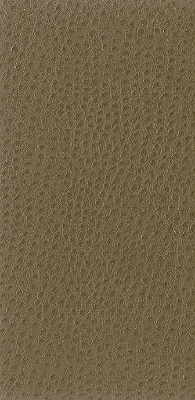 Samples and Purchasing available for Kravet Basics - Nuostrich-106 Brown By Kravet Basics |  |Texture  Upholstery Vinyl/Faux Leather at Designer Wallcoverings and Fabrics