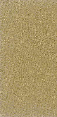 Samples and Purchasing available for Kravet Basics - Nuostrich-16 Beige By Kravet Basics |  |Texture  Upholstery Vinyl/Faux Leather at Designer Wallcoverings and Fabrics