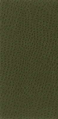 Samples and Purchasing available for Kravet Basics - Nuostrich-30 Green By Kravet Basics |  |Texture  Upholstery Vinyl/Faux Leather at Designer Wallcoverings and Fabrics