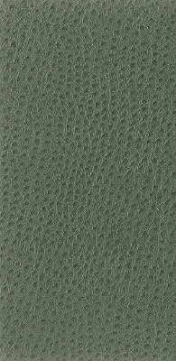 Samples and Purchasing available for Kravet Basics - Nuostrich-3 Green By Kravet Basics |  |Texture  Upholstery Vinyl/Faux Leather at Designer Wallcoverings and Fabrics