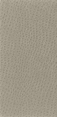 Samples and Purchasing available for Nuostrich - Shiitake Brown By Kravet Basics |  |Texture  Upholstery Vinyl/Faux Leather at Designer Wallcoverings and Fabrics