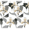 Lady Slipper Wallpaper | Jeffrey Stevens