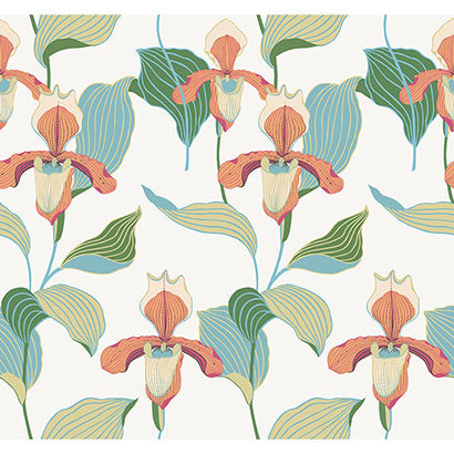 Lady Slipper Wallpaper | Jeffrey Stevens